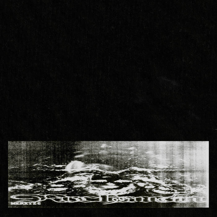 mer.xyz6